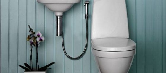 WC-Bidetdusche mit Mixer