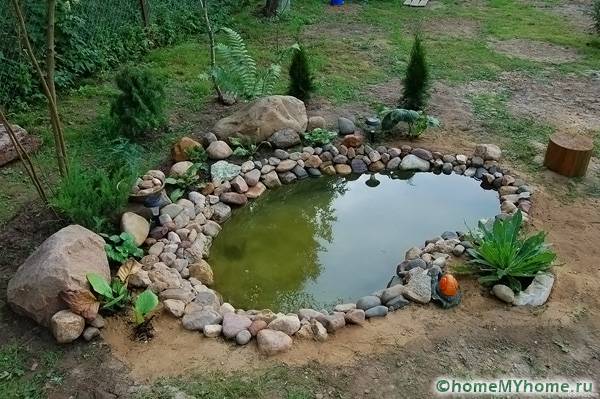estany de bricolatge al camp pas a pas: foto