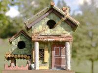Caseta d’ocells