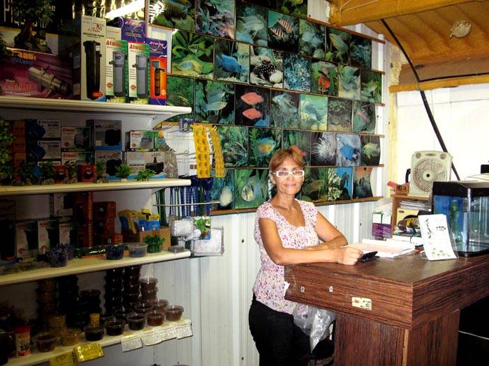 In a specialized trade enterprise, in addition to a good assortment, you can use official guarantees, free professional advice