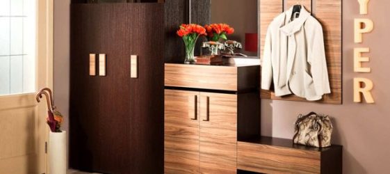 Hall design i et privat hus: foto