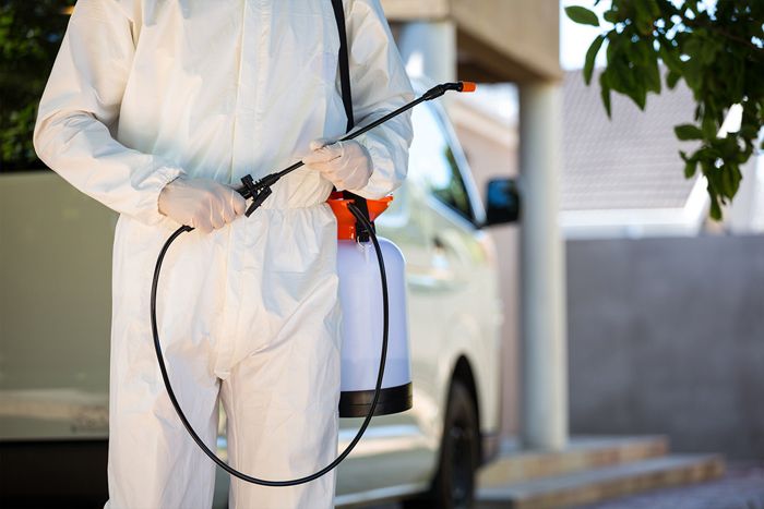 Es gibt ein bedeutendes Plus: Nach der Arbeit von Schädlingsbekämpfern haben Sie nicht nur Kakerlaken, sondern auch Mücken, Fliegen, Wanzen, Zecken, Flöhe, Spinnen und andere Arthropoden