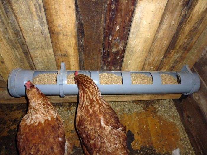 Het is handig voor de vogels om te eten en de eigenaar veroorzaakt geen problemen met het voerproces