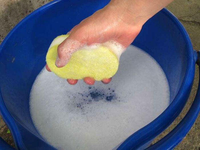 La spugna viene inumidita in una composizione detergente e lo sporco viene lavato via con movimenti fluidi