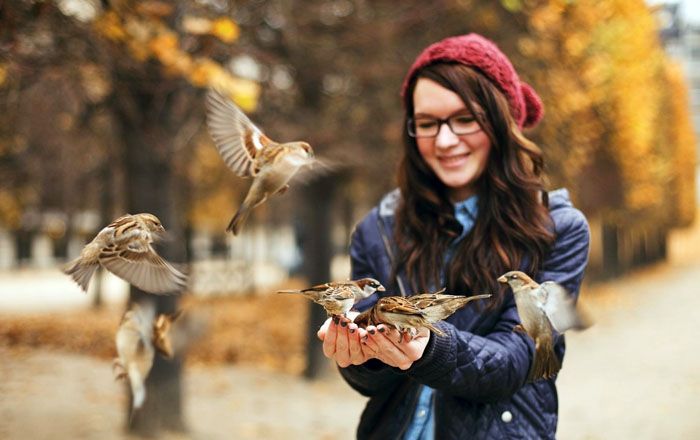 Sie werden eine gute Tat tun, wenn Sie die Vögel mit diesem Getreide füttern, Sie können sie in einen luftdichten Beutel legen und nach der Reinigung in den Park gehen