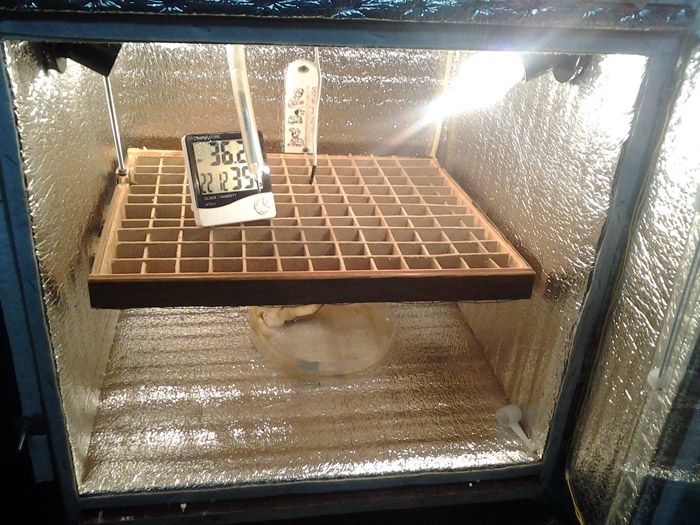 A melegítő felszerelhető a tojástálca fölé, alá, vagy a falazat köré. Zökkenőmentesen kell működnie, és egyenletesen melegítse fel a tálcát