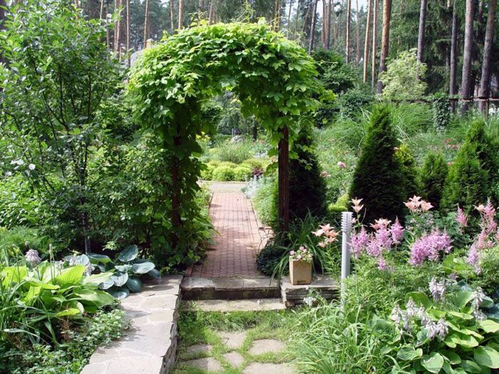 Buer, flettet med grønne eller blomstrende planter i den varme årstiden, er ikke mindre vakre om vinteren