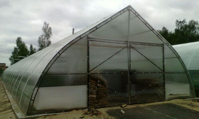 Gewächshäuser aller Standardgrößen werden aus Polycarbonat hergestellt: vom Mini-Format bis zur Farm
