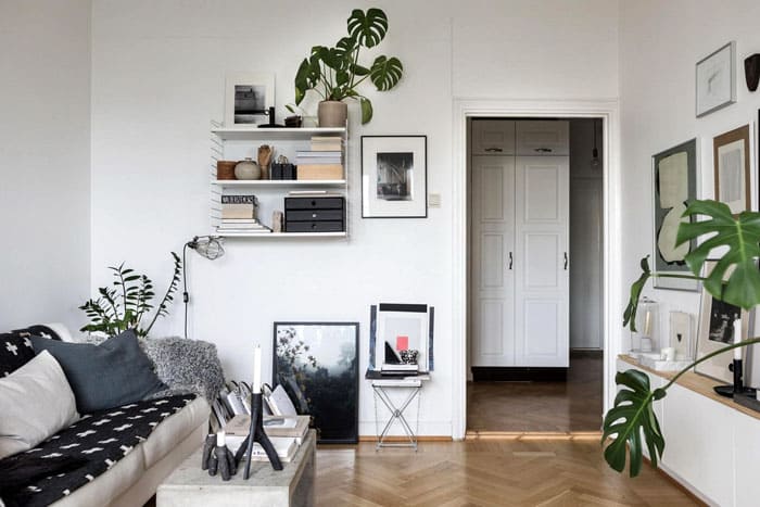 Junge Pflanzen wie Monstera, Ficuses, Aspidistra und Spargel gedeihen in den Regalen. Wenn die grüne Dekoration groß wird, bewegt sie sich einfach in die Wanne auf dem Boden.