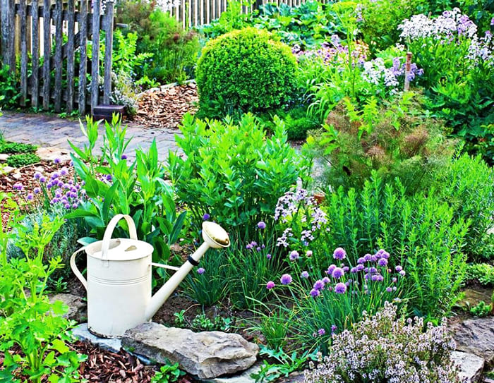 Du kan velge et eget blomsterbed for krydder eller plante aromatiske urter på forskjellige steder